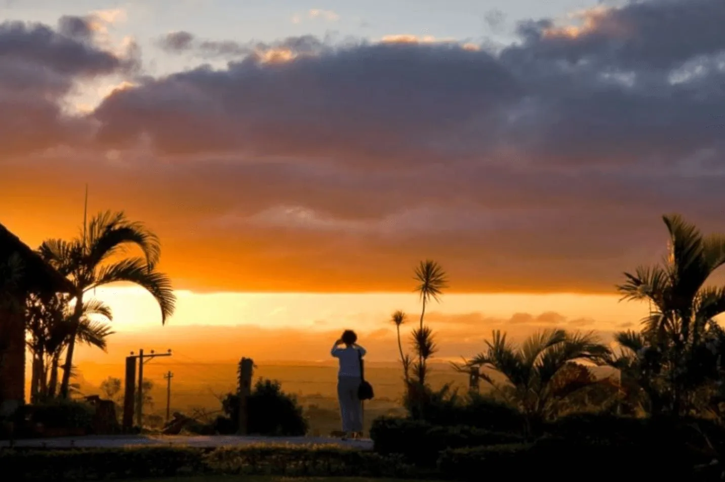 Pôr do sol no CEE