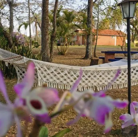 Rede entre árvores e orquídea no CEE